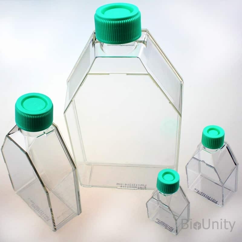 Флакон культуральный 12.5 см², CellATTACH™, с повышенной адгезивной поверхностью для клеток, 25 мл, стерильный, PS