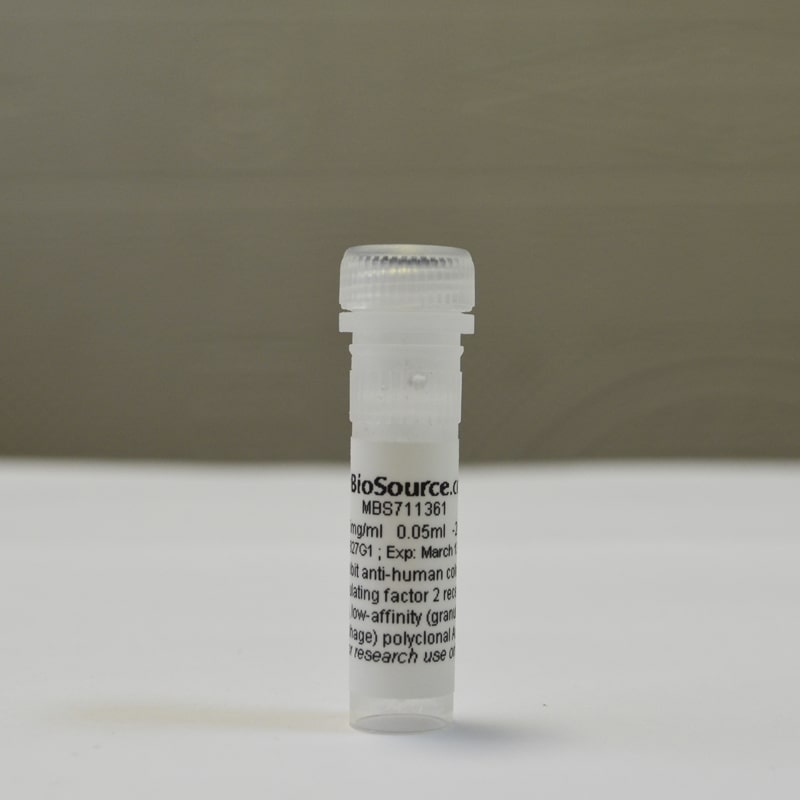 Антитела anti-CSF2RA antibody