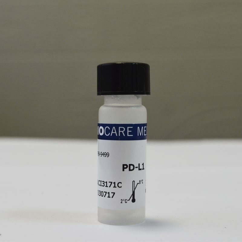 Антитела PD-L1