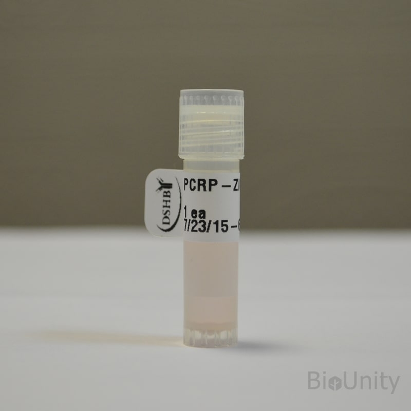 Антитела PCRP-ZIC1-1E3, supernatant 1 мл
