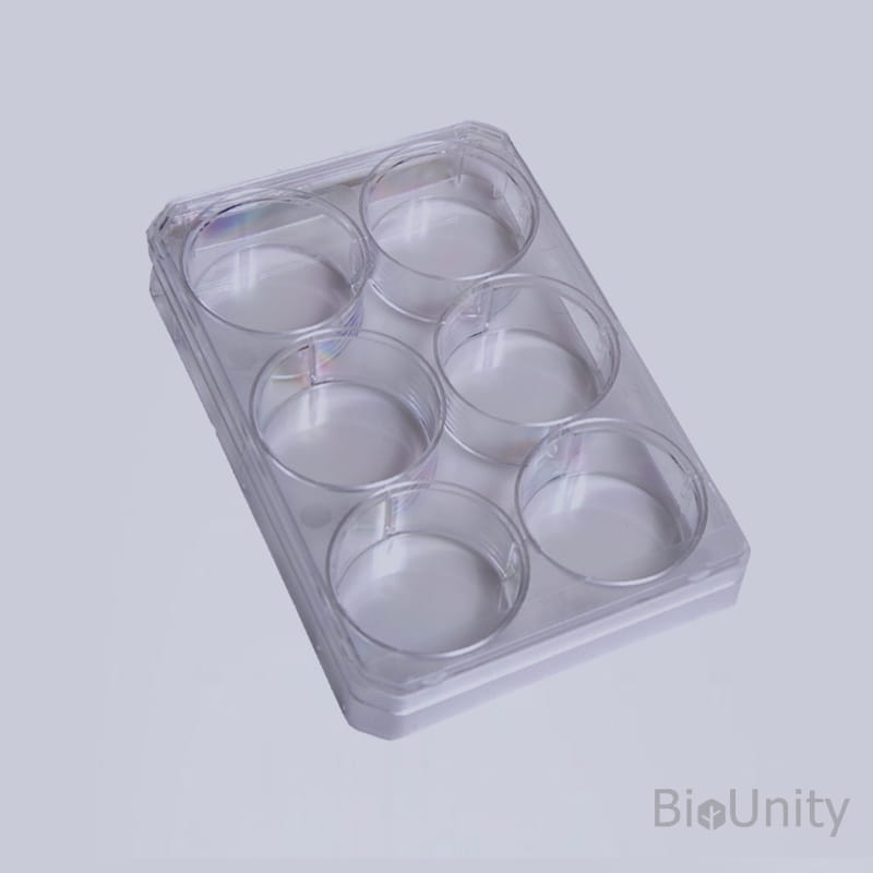 Планшет культуральный 6-луночный, с необработанной поверхностью, для суспензионных культур клеток, с крышкой, плоскодонный, стерильный, PS