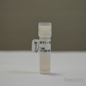 Антитела 6H11-4E6, supernatant 1 мл