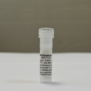 Антитела anti-CSF2RA antibody