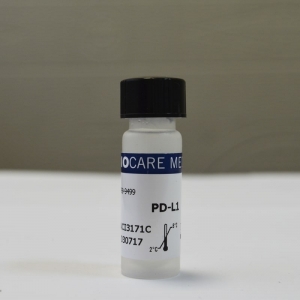 Антитела PD-L1