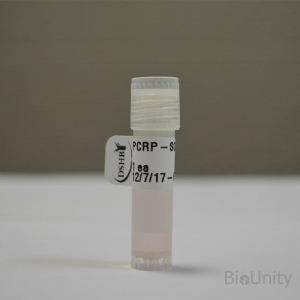 Антитела PCRP-SOX2-1B3, supernatant 1 мл