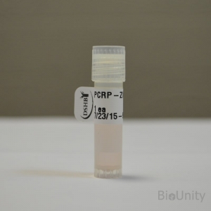 Антитела PCRP-ZIC1-1E3, supernatant 1 мл