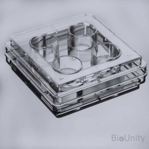 Планшет культуральный 4-луночный, с необработанной поверхностью, для суспензионных культур клеток, с крышкой, плоскодонный, стерильный, PS